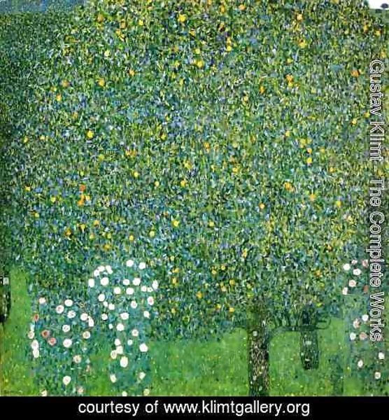 Gustav Klimt - Roses Under the Trees  1905