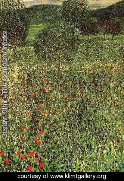 Gustav Klimt - Landscape Of A Garden